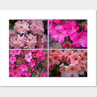 An Assembly of Azaleas Posters and Art